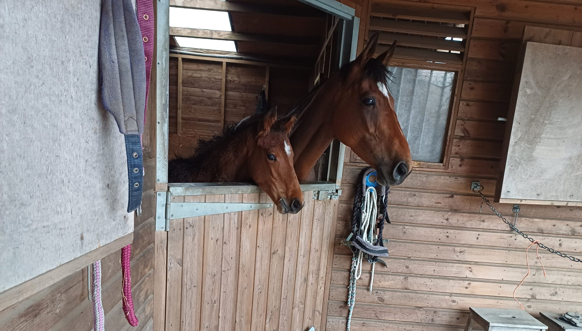 Open day – 30.11.2024